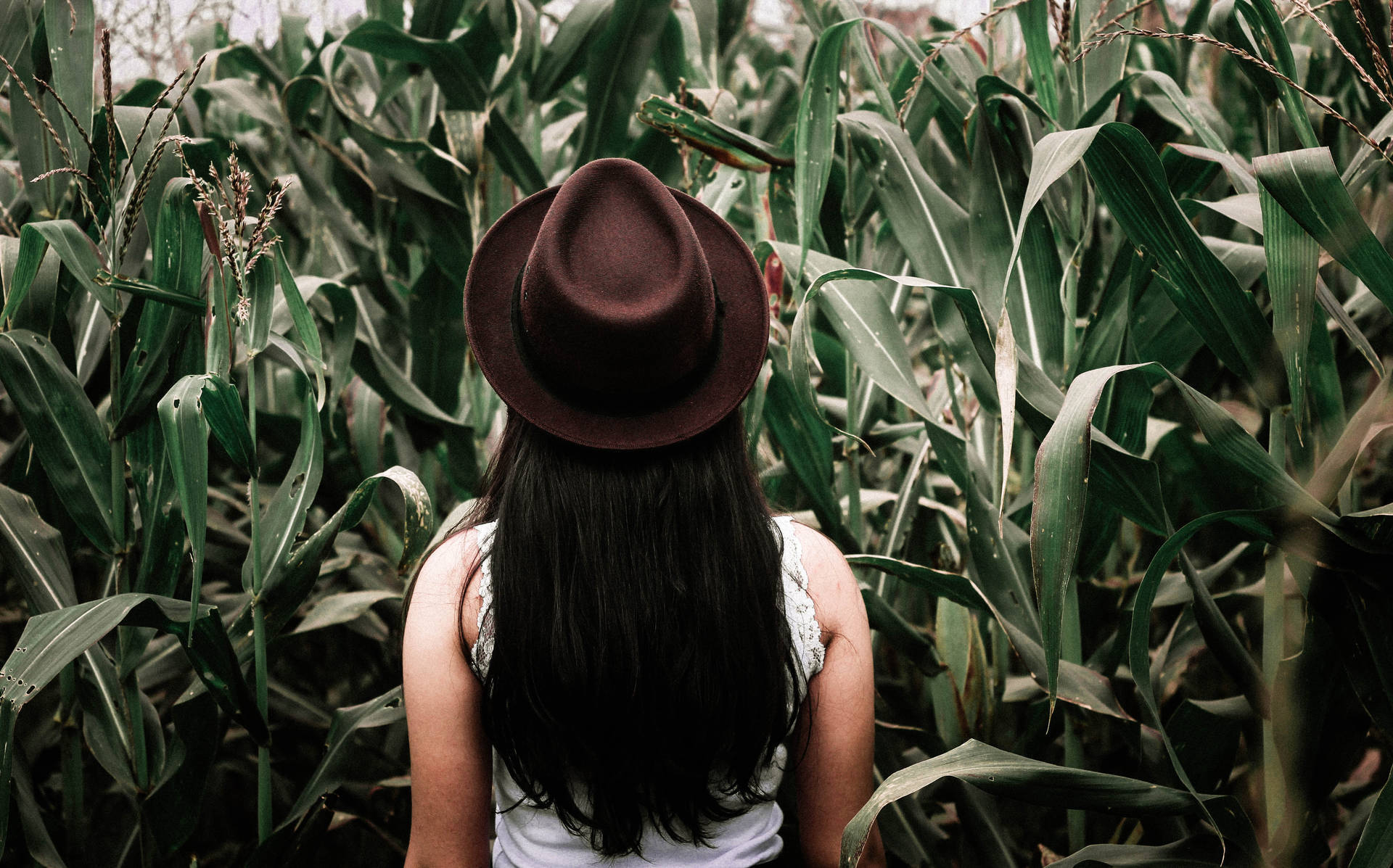 Netflix Rebounds After Losing Subscribers Earlier This Year